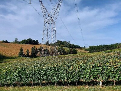 Oksana Sadžik: Bosanska zemlja i francuski hrast naše vino čine posebnim i prepoznatljivim