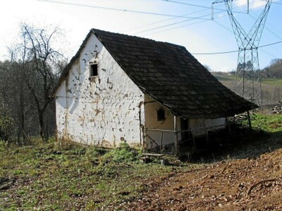 Oksana Sadžik: Bosanska zemlja i francuski hrast naše vino čine posebnim i prepoznatljivim