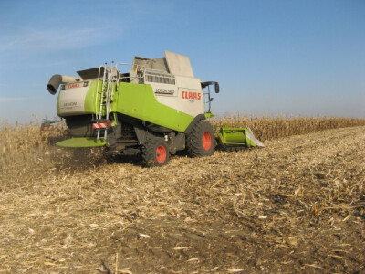 Skidanje kukuruza sa njiva