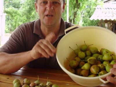 Okućnica Zdeka Hribara