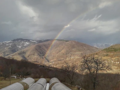 Okus prirode: slatko od duda, senzacija koja osvaja tržište