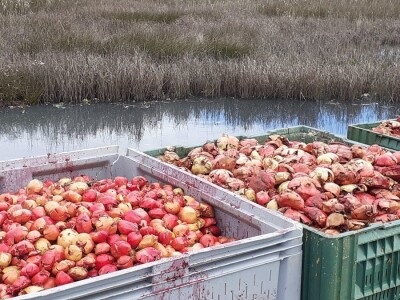 Okusi Neretve - Naronija