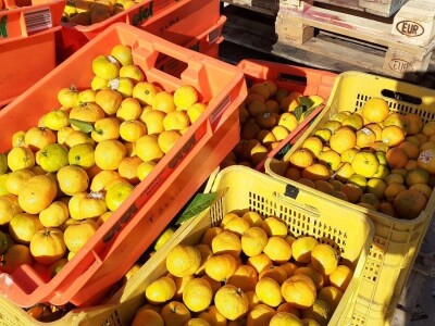 Okusi Neretve - Naronija