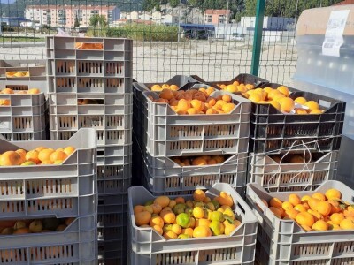 Okusi Neretve - Naronija