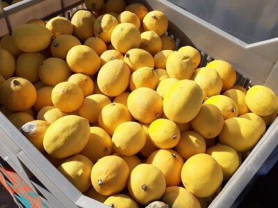 Okusi Neretve - Naronija