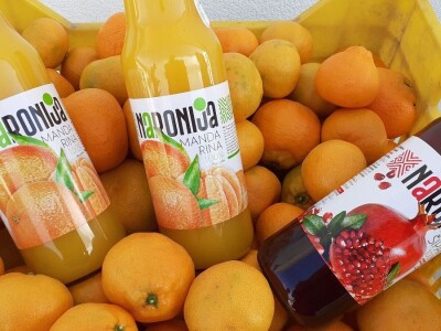 Okusi Neretve - Naronija