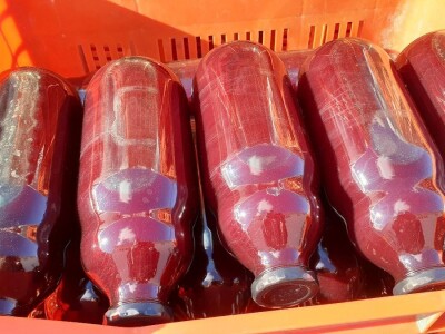 Okusi Neretve - Naronija