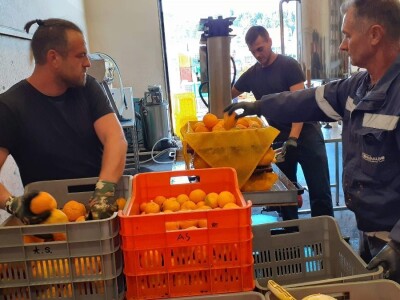 Okusi Neretve - Naronija