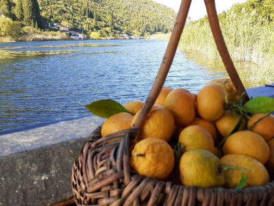 Okusi Neretve - Naronija