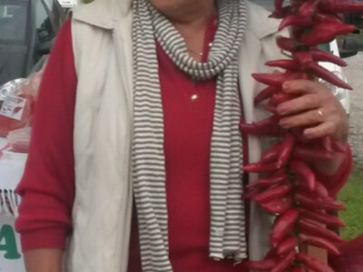 OPG Siniša Zetović