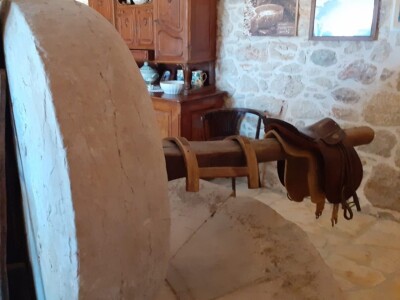 Olive Touch - berba maslina Olive Touch - berba maslina