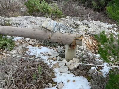 Olujno nevrijeme poharalo maslinike kod Benkovca