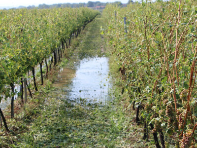 Olujno nevrijeme u Požeštini