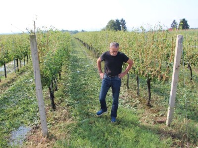 Olujno nevrijeme u Požeštini