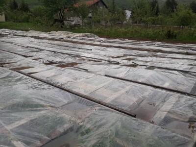 Omer Begović: Manimo se egzotike, uzgajajmo voće našeg podneblja Omer Begović: Manimo se egzotike, uzgajajmo voće našeg podneblja