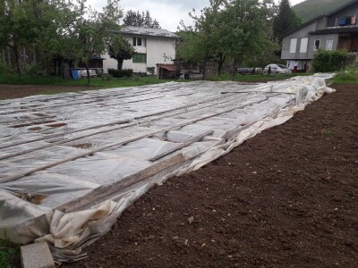 Omer Begović: Manimo se egzotike, uzgajajmo voće našeg podneblja Omer Begović: Manimo se egzotike, uzgajajmo voće našeg podneblja