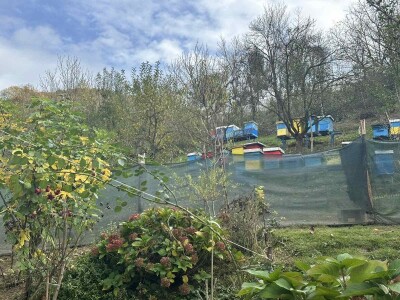 On je junak, a ona šefica! Eldin i Armina Muhović prepoznali blagodati sela