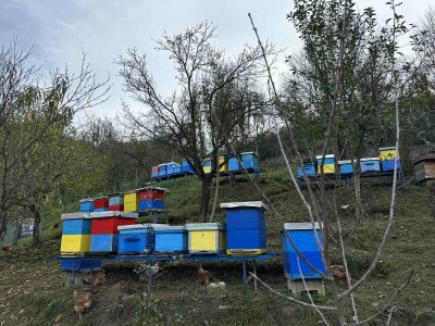 On je junak, a ona šefica! Eldin i Armina Muhović prepoznali blagodati sela