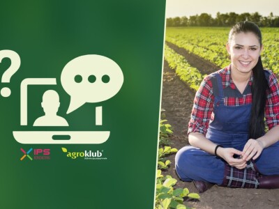 Što je na tanjurima naših najmlađih?