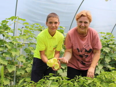 Online tržnica Plodovi.hr