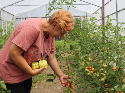 Online tržnica Plodovi.hr