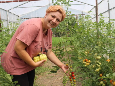 Online tržnica Plodovi.hr