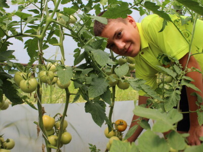 Online tržnica Plodovi.hr