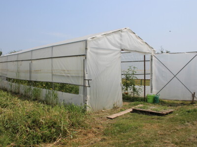 Online tržnica Plodovi.hr