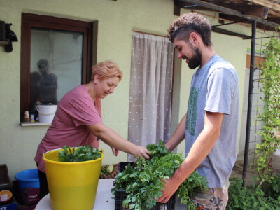 Online tržnica Plodovi.hr