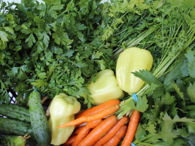 Online tržnica Plodovi.hr