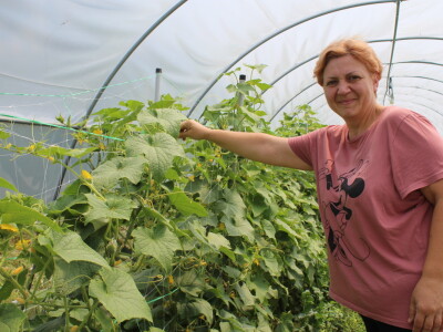 Online tržnica Plodovi.hr