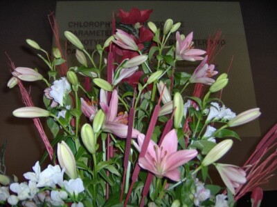 Simpozij agronoma u Opatiji