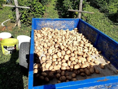 Općina Gornji Vakuf- Uskoplje isplatila poticaj proljetnoj sjetvi