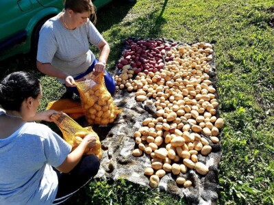 Općina Gornji Vakuf- Uskoplje isplatila poticaj proljetnoj sjetvi