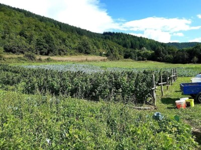 Općina Gornji Vakuf- Uskoplje isplatila poticaj proljetnoj sjetvi