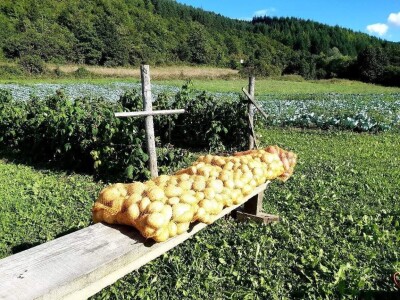 Općina Gornji Vakuf- Uskoplje isplatila poticaj proljetnoj sjetvi