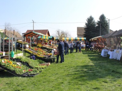 Općina Kneževi Vinogradi