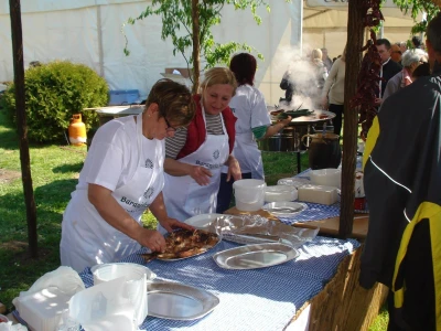 Općina Kneževi Vinogradi