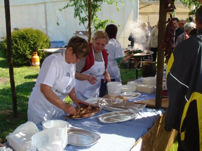Općina Kneževi Vinogradi