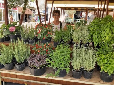 OPG Adžić Dračevac Ninski