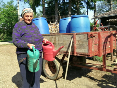 OPG Albina Kovačić