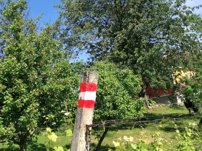 OPG Albina Kovačić