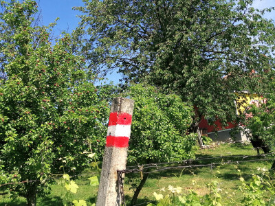 OPG Albina Kovačić