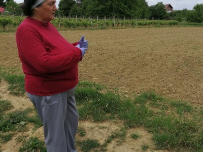 OPG Albina Kovačić