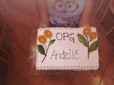 OPG Anđelić