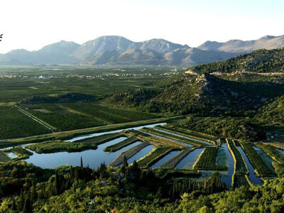 Dolina rijeke Neretve- najbolje mandarine su iz tog područja Dolina rijeke Neretve- najbolje mandarine su iz tog područja
