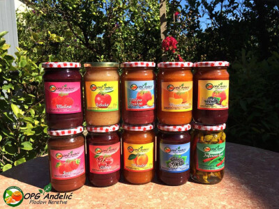 Koji je vaš omiljeni okus? Koji je vaš omiljeni okus?