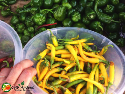 Žuta boja kao znak zdravih proizvoda Žuta boja kao znak zdravih proizvoda