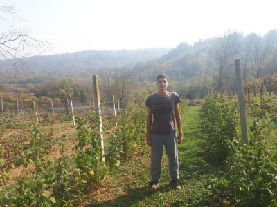 OPG Andrašević