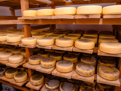 OPG Anić iz Krasnog